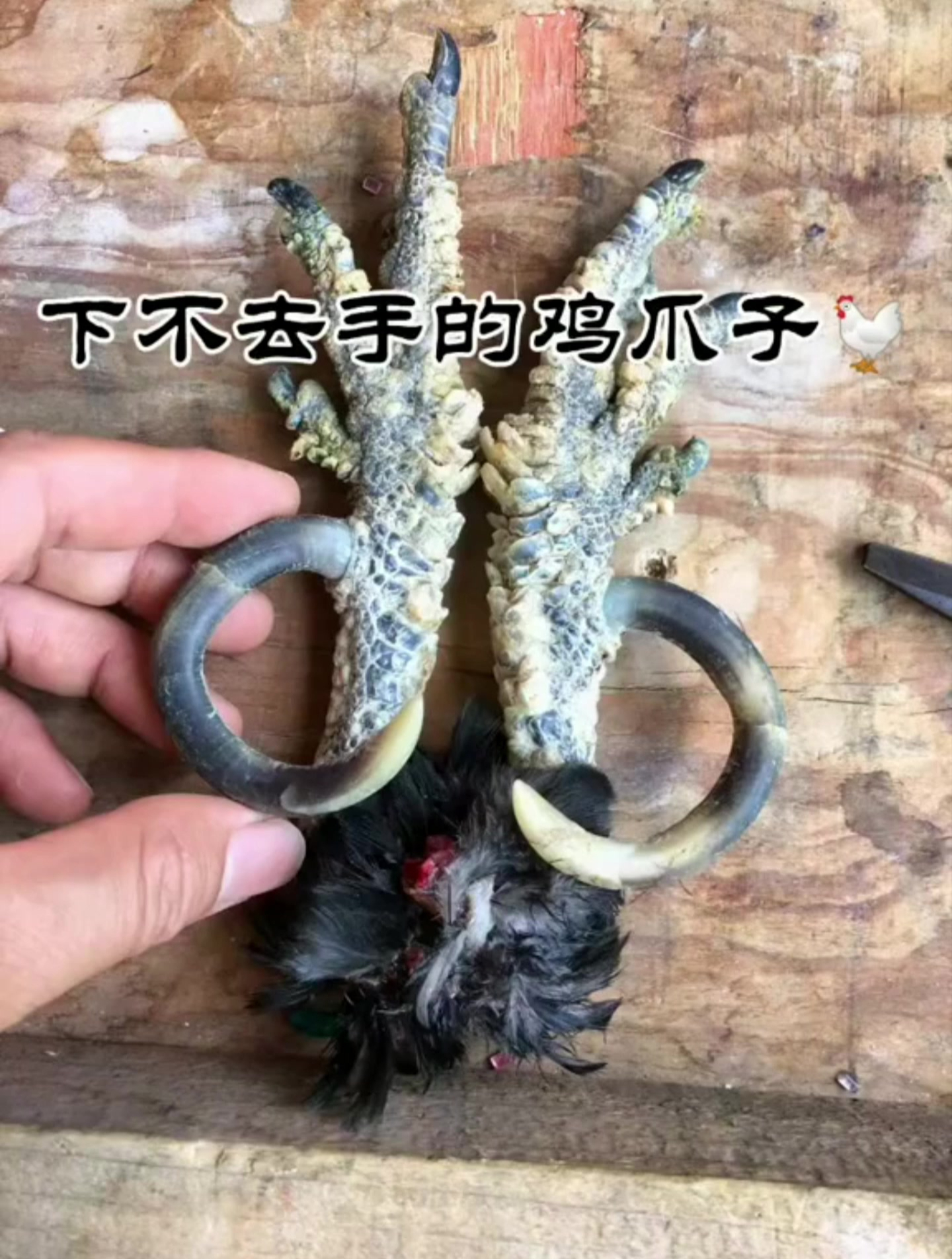 盘个铁鸡爪 虽然扎手但成品真惊艳