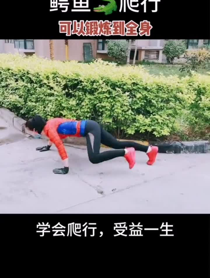 鳄鱼爬行,锻炼到全身的运动,爬行一周腰间盘突出得到缓解