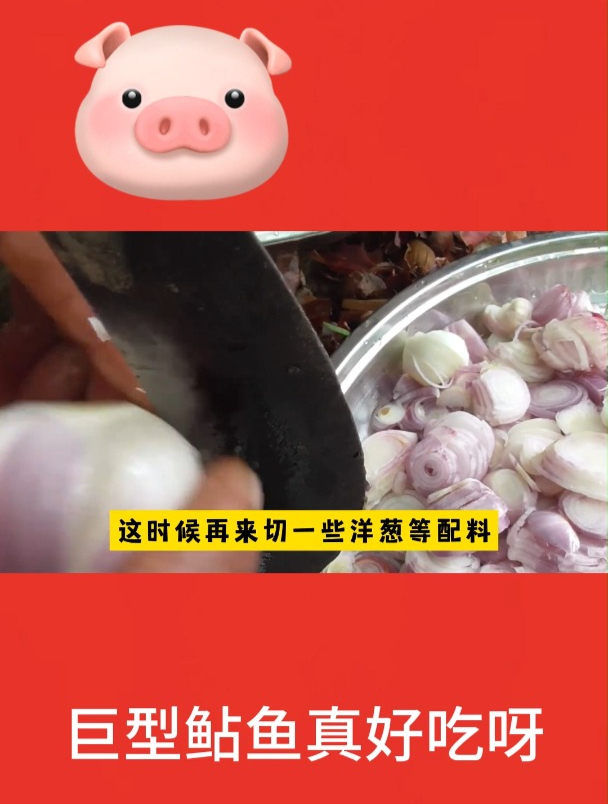 巨型鲇鱼真好吃呀5