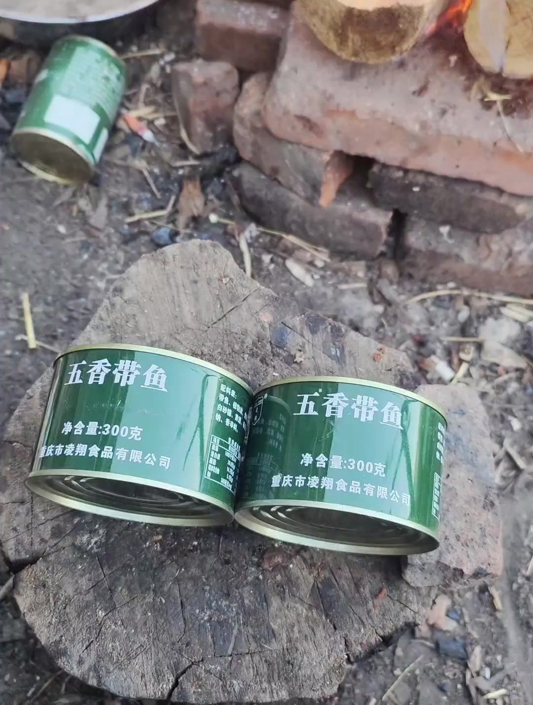 流浪汉悲伤测评五香带鱼罐头