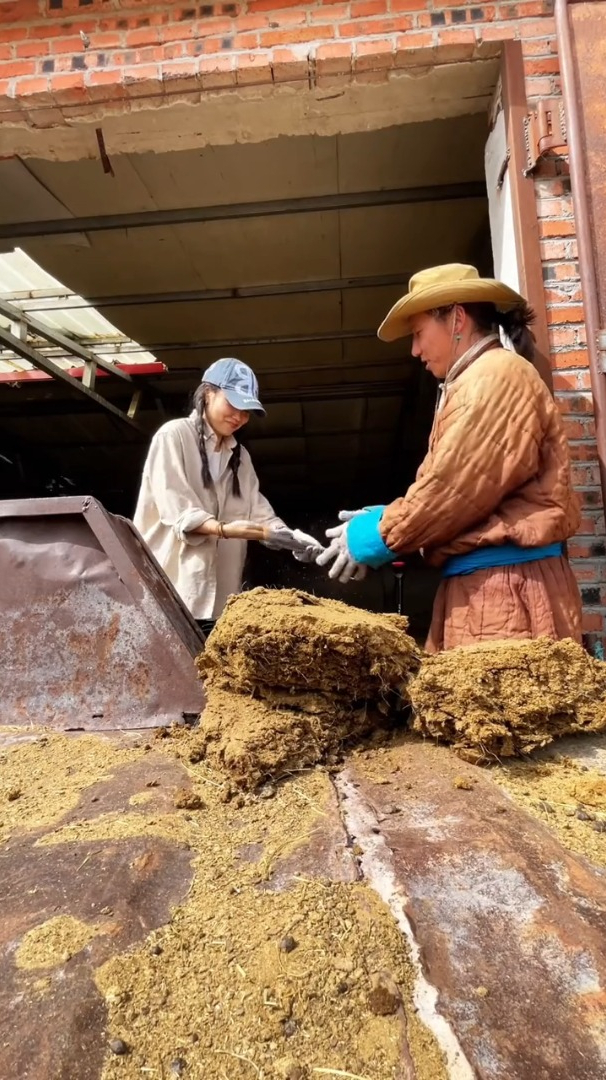 第一次去内蒙,才知道羊粪砖是怎么形成的,干完活回家吃羊肉肠了