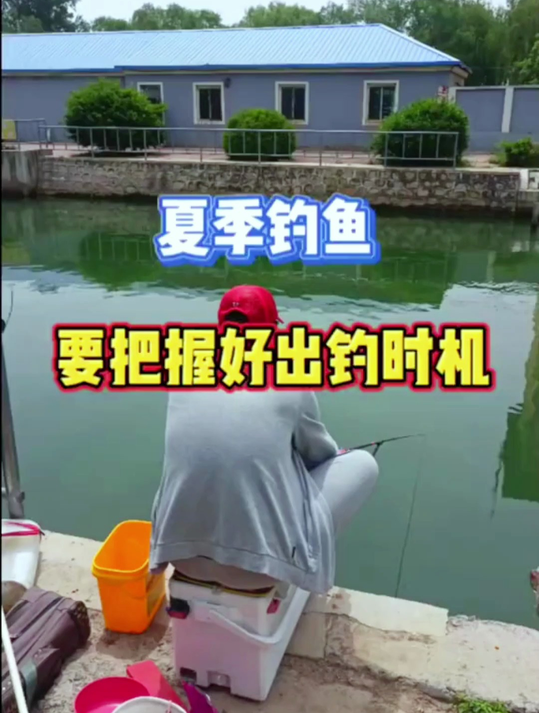 夏季钓鱼,要把握好出钓时机