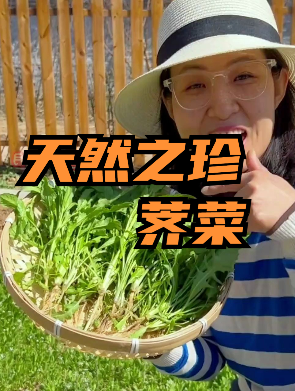 它是农村常见的野菜,被古人称为“天然之珍”,可惜认识的人不多