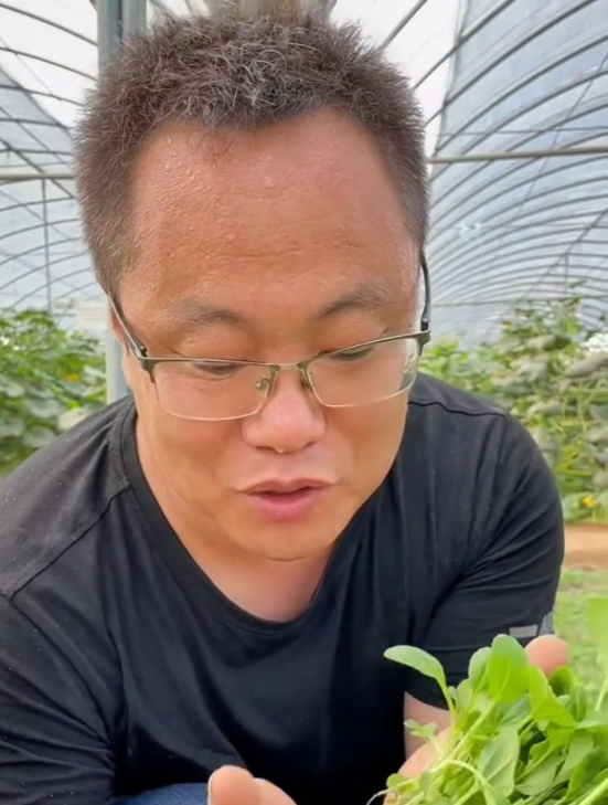 鸡毛菜上海人叫它上海青,苏州人叫它苏州青,北方人叫它小油菜!