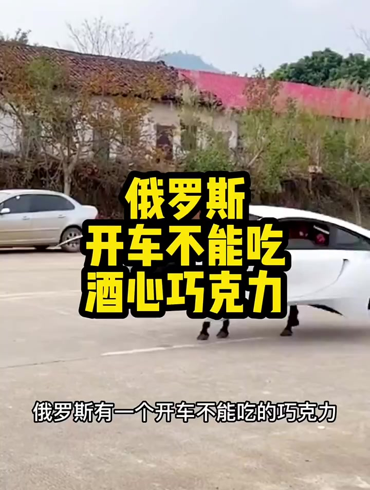 俄罗斯酒心巧克力 俄罗斯 巧克力