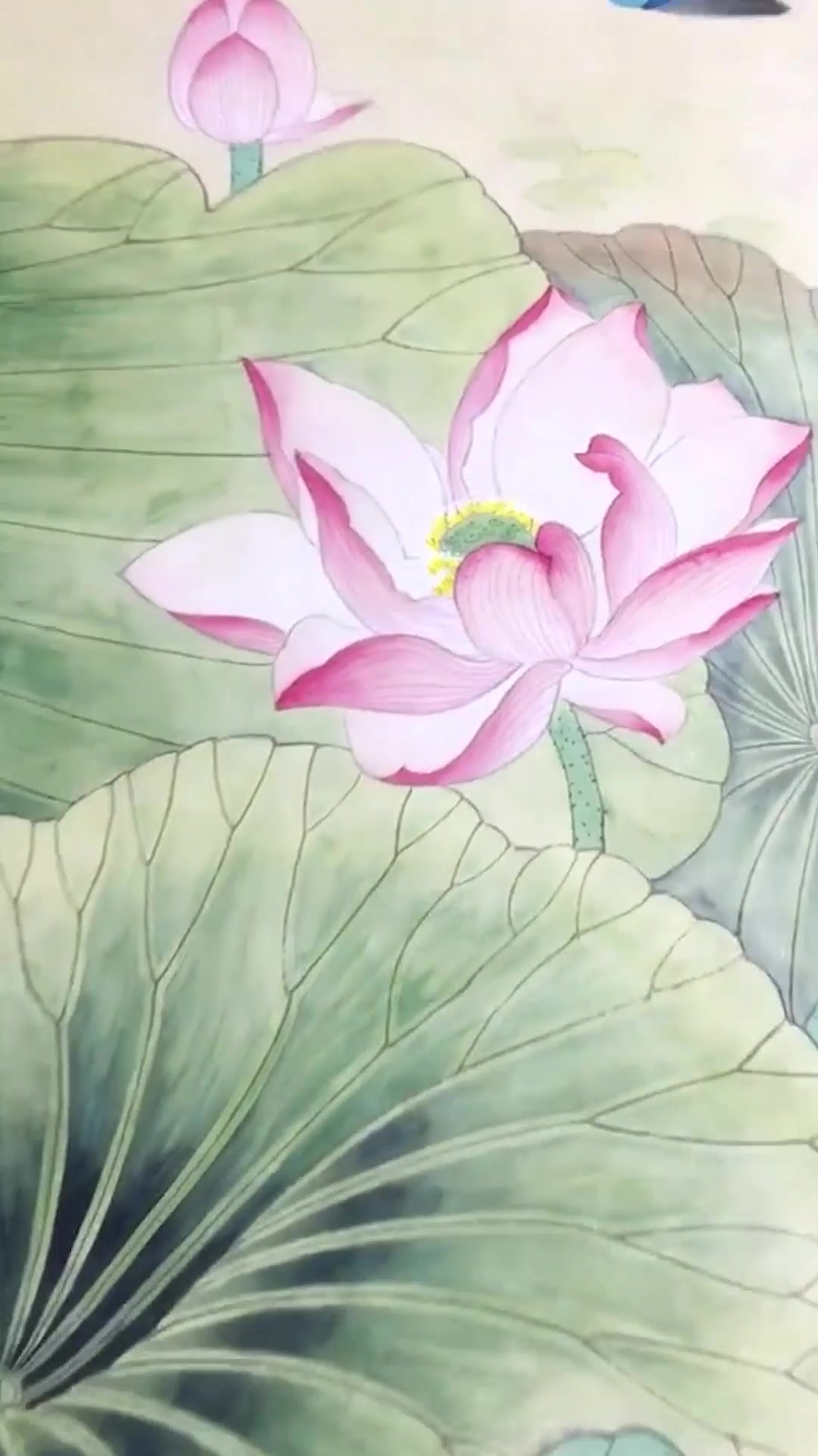 工笔荷花作品,有喜欢荷花的朋友嘛?