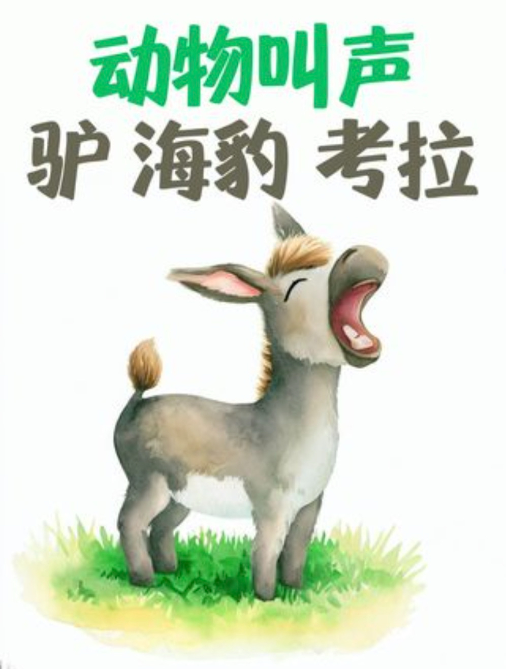 动物的叫声有多反差萌?驴子、考拉、海豹的叫声