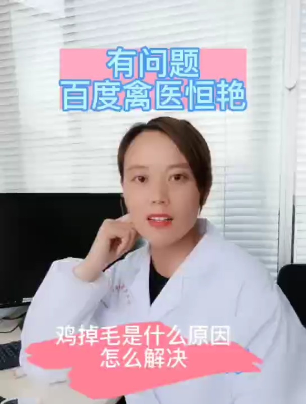 禽医恒艳谈鸡掉毛是什么原因鸡掉毛怎么解决