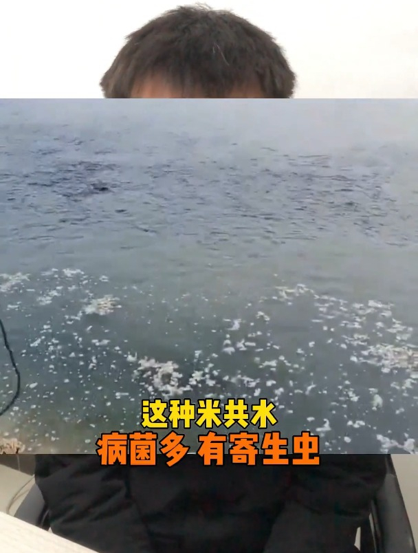 揭秘养殖鱼的内幕,鲈鱼,鲤鱼,鲶鱼都离不开粪