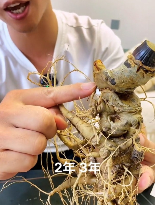 可以拿来煲汤炖鸡排骨,喜欢喝酒的可以泡酒新鲜的三七