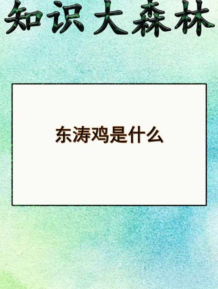 东涛鸡是什么