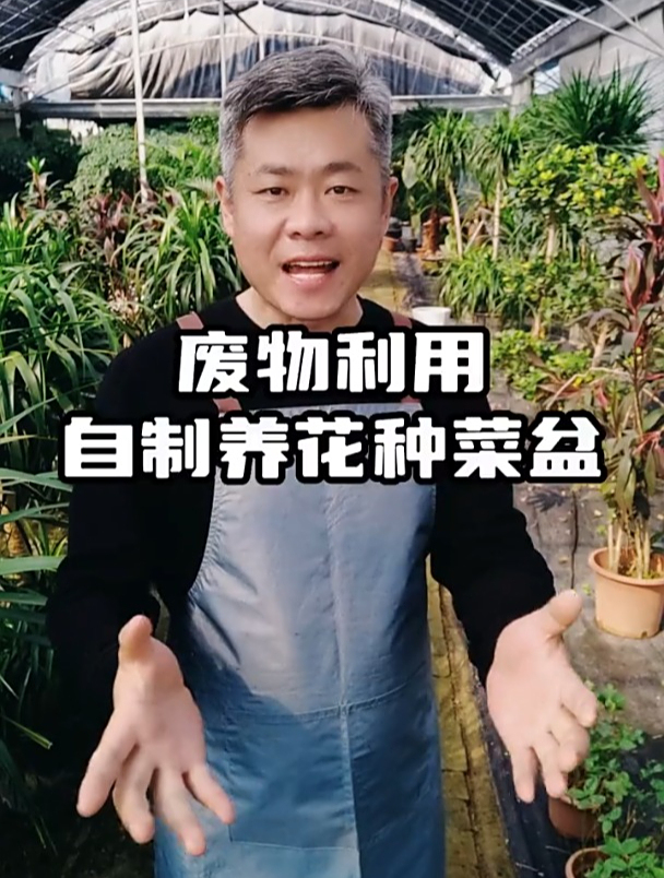 花盆不用买了,学会废物利用,“空油桶”也能用来养花种菜