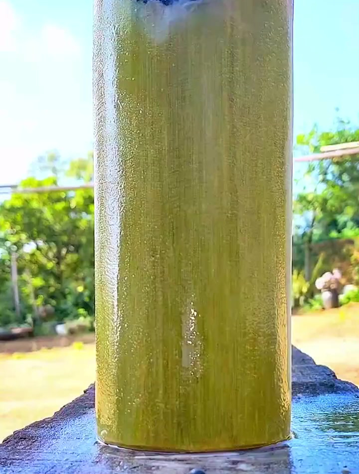 纯手工打造 手工多肉花盆 花盆 盆景 手工