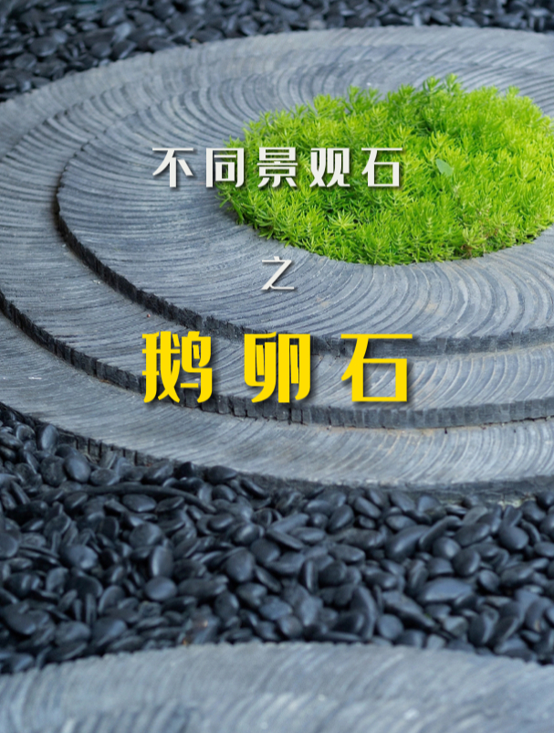 不同景观石之鹅卵石