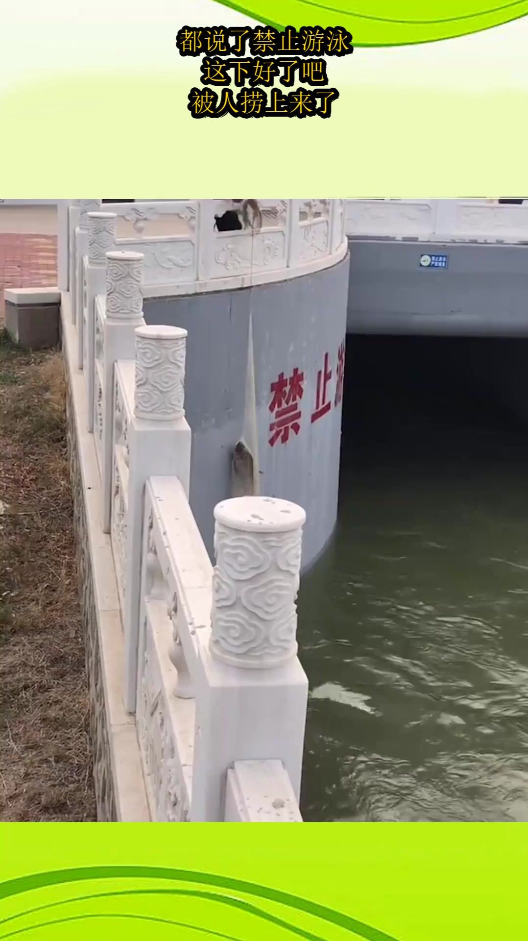 都说了禁止游泳,这下好了吧,被人捞上来了!