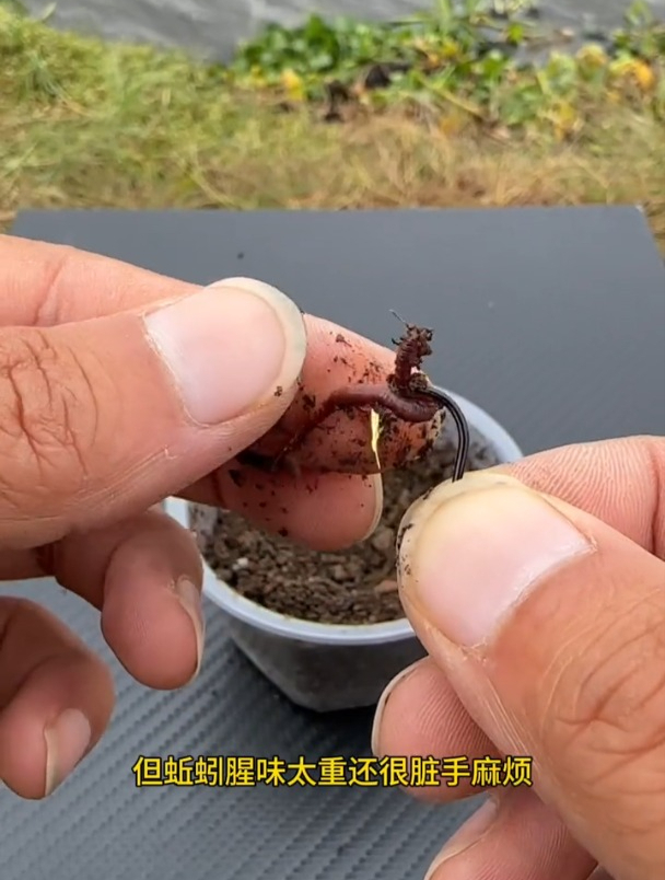 蚯蚓钓鱼脏手还麻烦,于是老钓友想到这方法