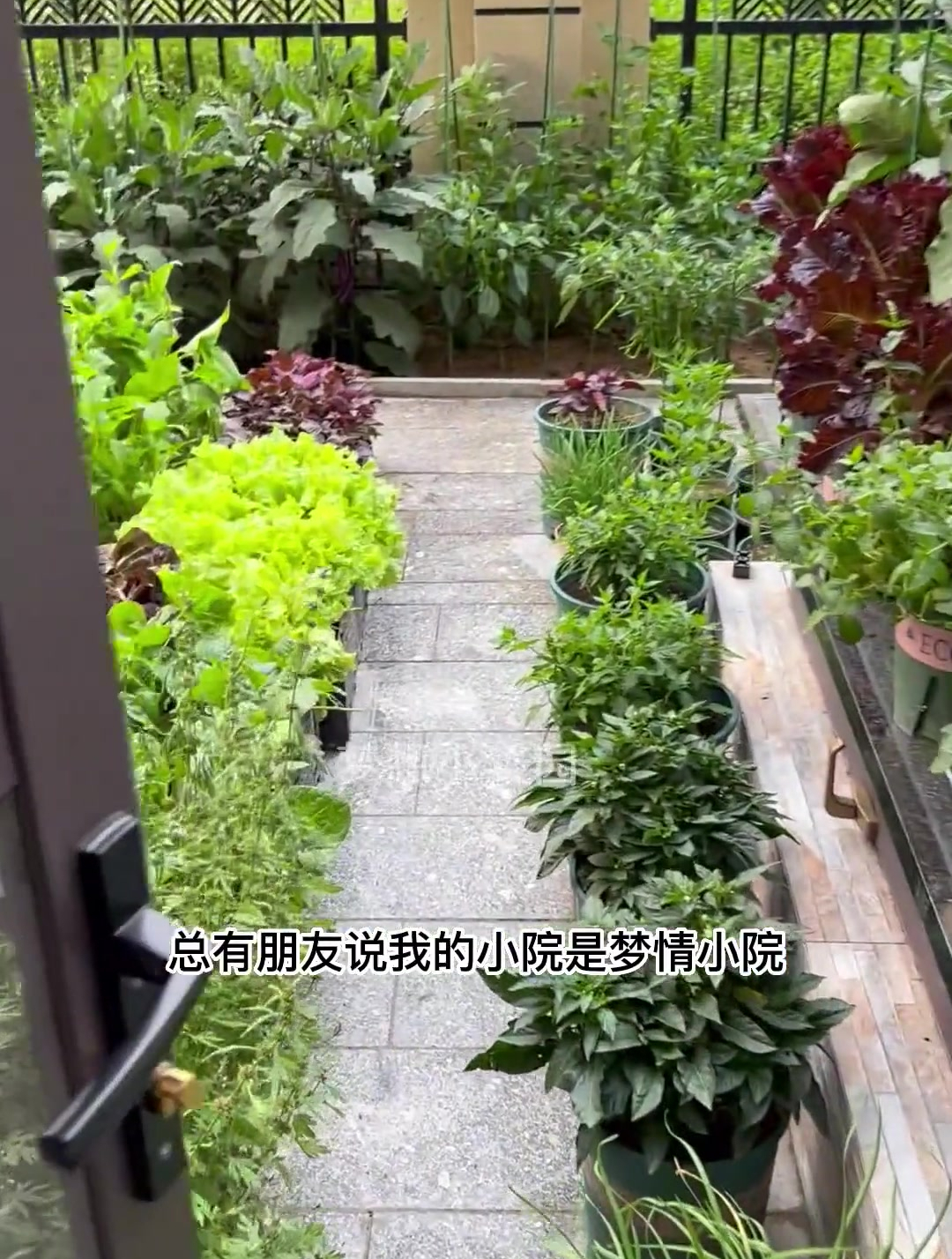 给大家分享我别墅院子种菜的布局