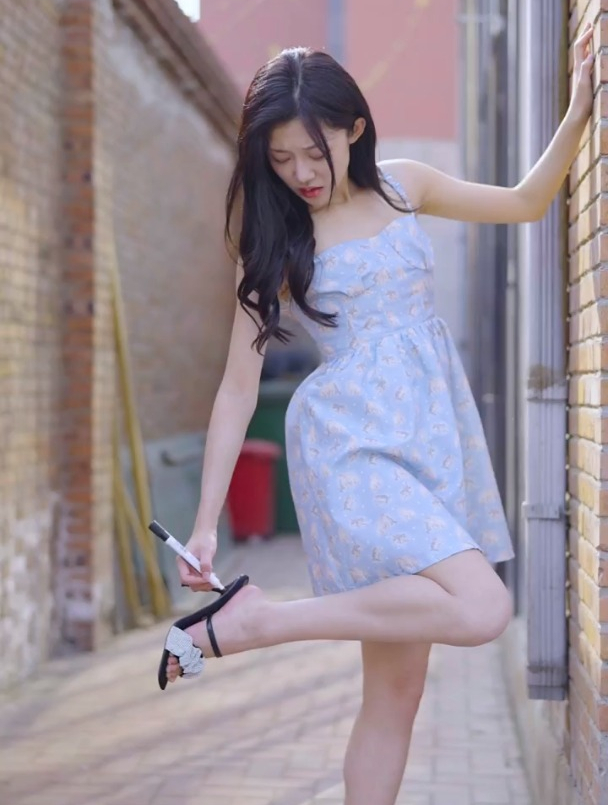 海鸟和鱼相爱,真的只是一场意外吗?