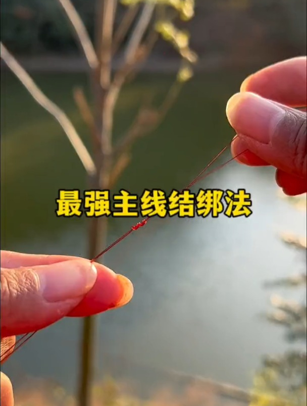 野钓还在切主线结?老钓友示范正确竿稍绑法,鱼竿断主线都不断!