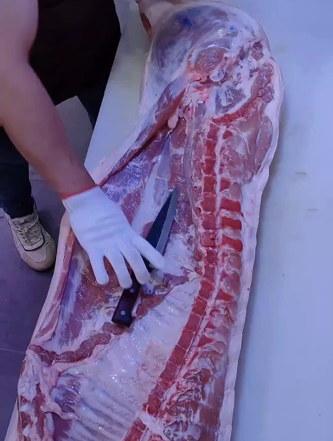 开个排骨 猪肉分割技巧 猪排骨分割教程
