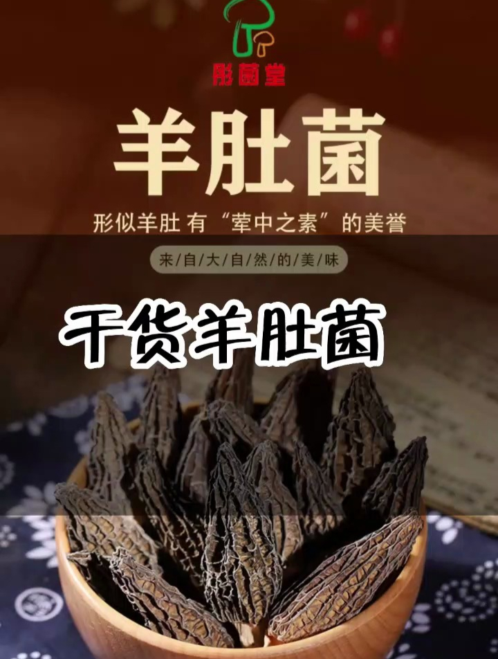 彤菌堂 菌汤包 云南