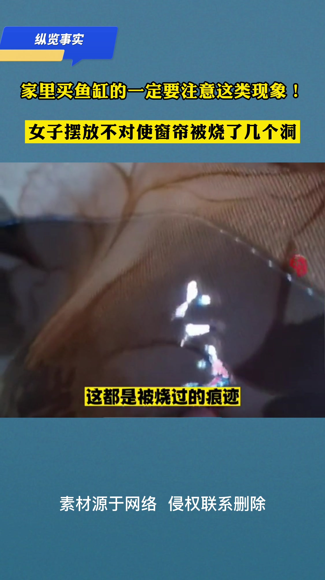家里买鱼缸的一定要注意这类现象!女子摆放不对使窗帘烧了几个洞