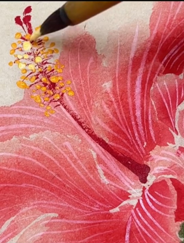 国画教程 · 扶桑花的画法(作者:鱼渔)