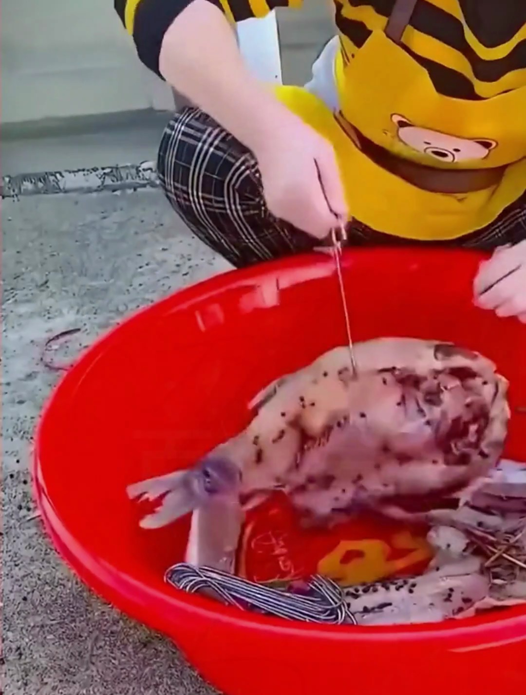 又到了准备做腊货了,这个肉勾子太好用了,买一次用几年