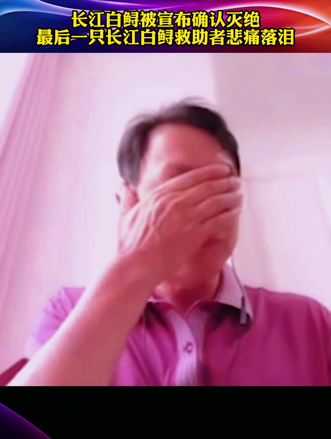 长江白鲟被宣布确认灭绝,最后一只长江白鲟救助者悲痛落泪!