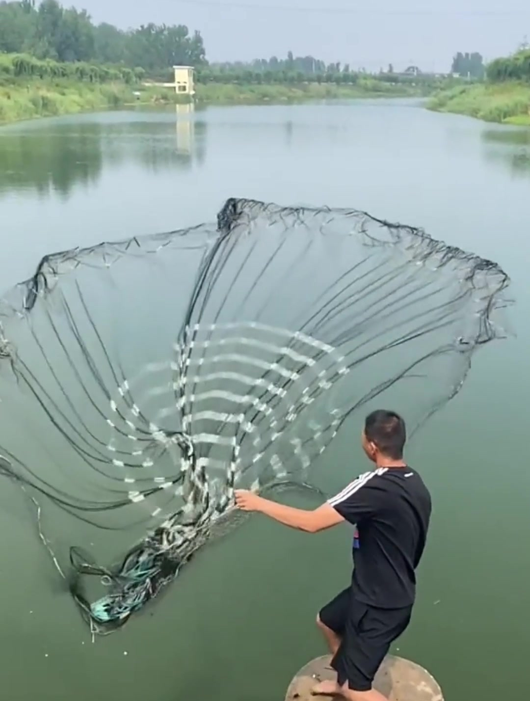 大哥江边撒网,凭空撒出了诗和远方,让人长见识了
