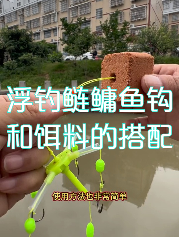 浮钓鲢鳙,鱼钩和饵料该如何搭配,讲解方块饵挂饵方法