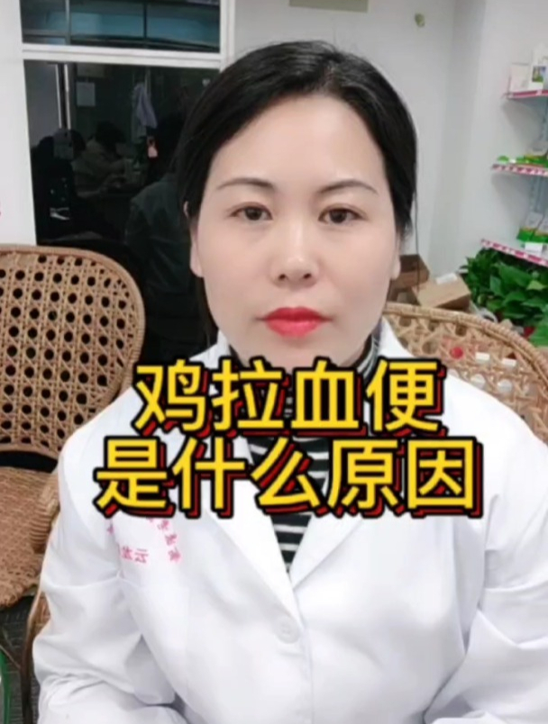 鸡拉血便是怎么回事