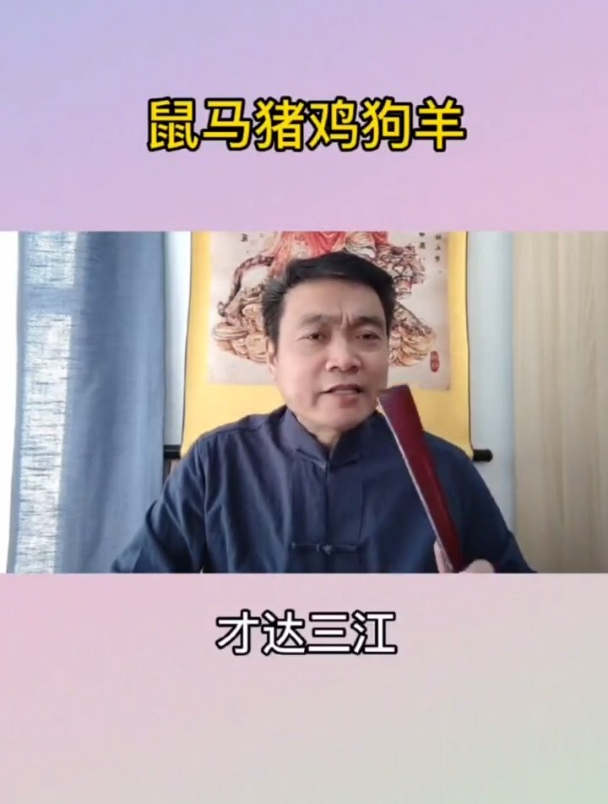 鼠马猪鸡狗羊的朋友们