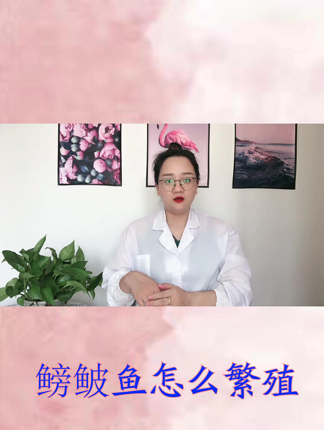 鳑鲏鱼怎么繁殖的