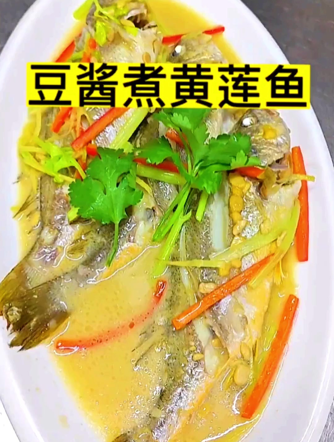 黄莲鱼也有人叫黄瓜鱼,春子鱼。叫法多种多样