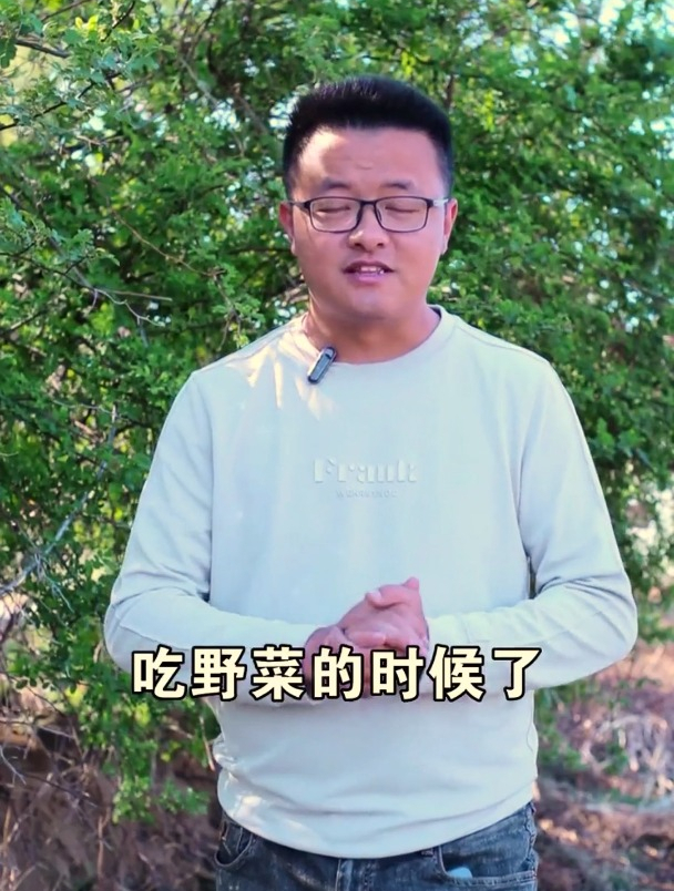 不看不知道,一看吓一跳!接下来有这么的“野菜”,可以吃啊