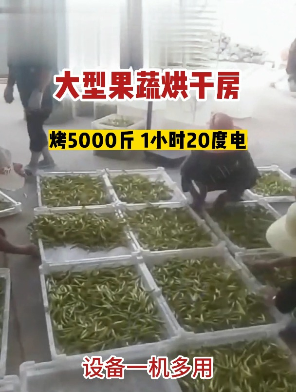 大型果蔬烘干房,小麦玉米水稻也能烘,一斤干货成本不到一度电!