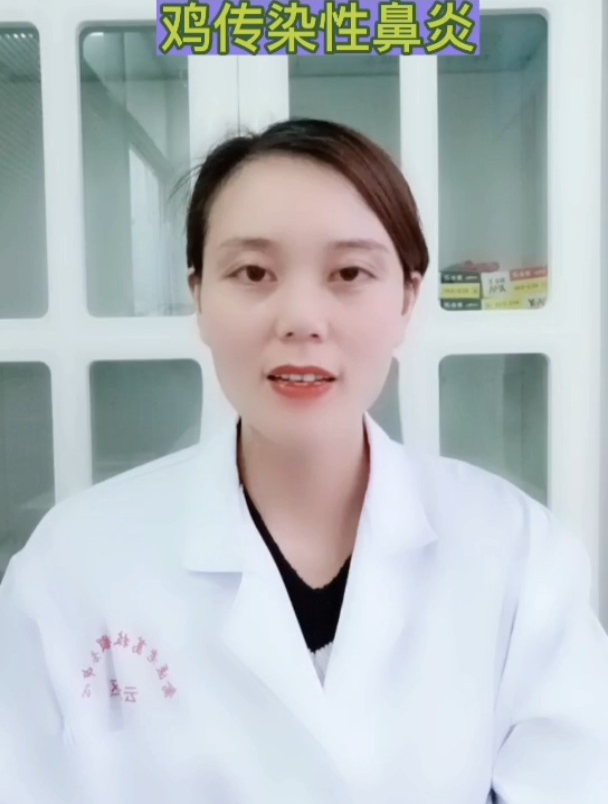禽医恒艳谈鸡传染性鼻炎怎么治疗鸡传染性鼻炎怎么预防
