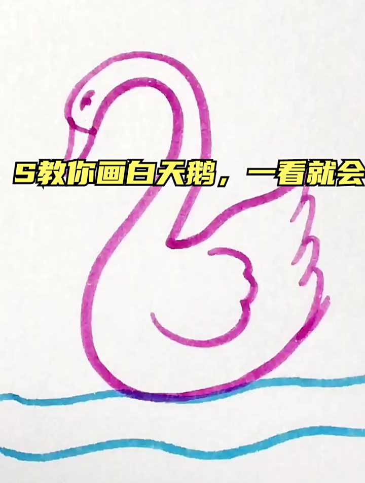 鹅鹅鹅,曲项向天歌,S教你画白天鹅,一看就会
