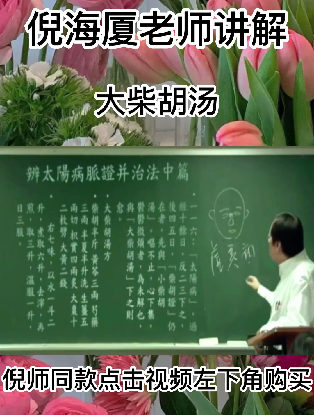 倪海厦教授教你怎么用大柴胡汤