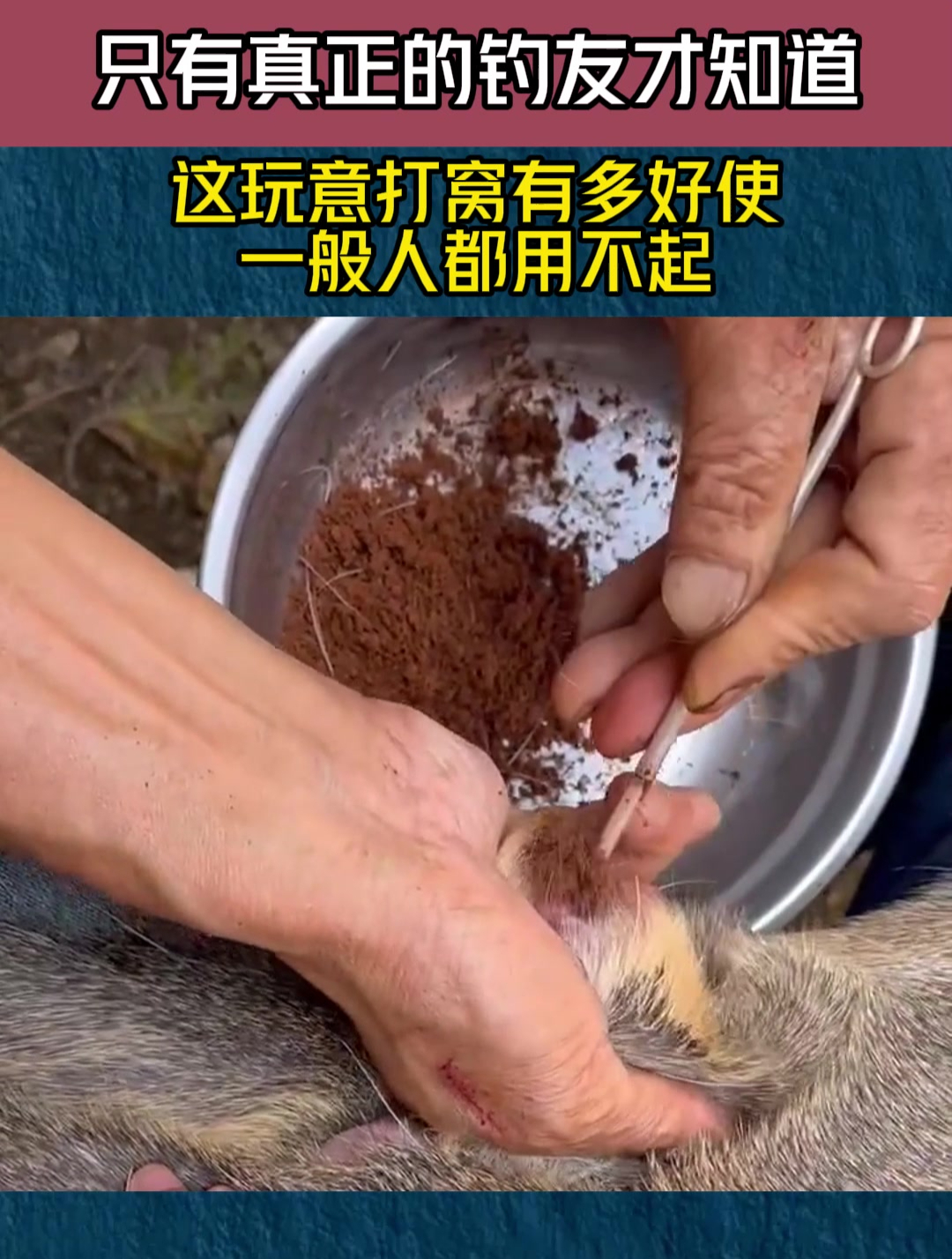 只有真正的钓友才知道,这玩意打窝有多好使,一般人都用不起