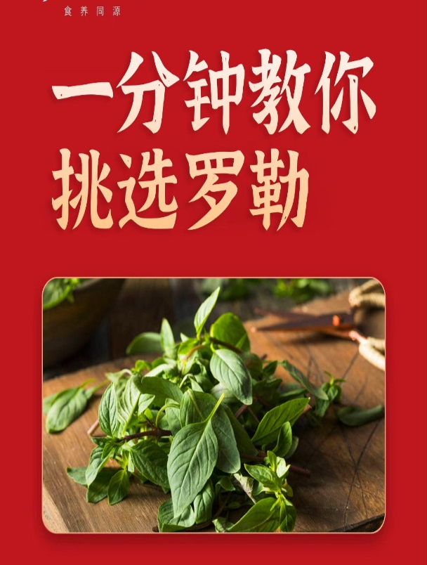 唐茗工坊 一分钟教会你挑选罗勒!