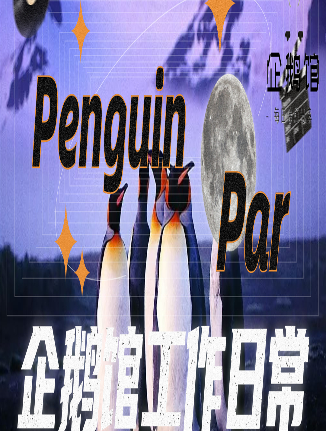 原来不同的帝企鹅,它们的走路方式也有所不同