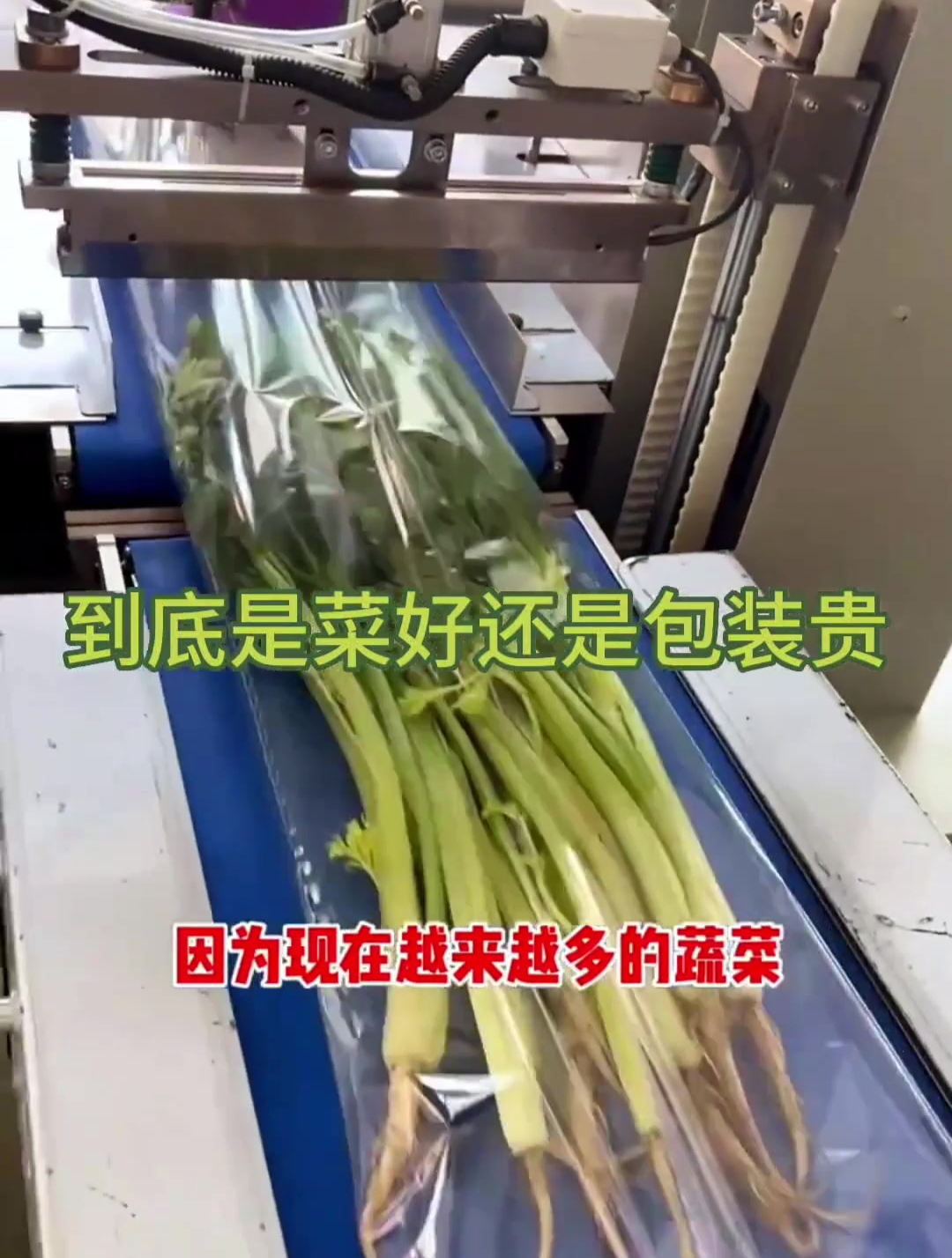 全自动蔬菜包装,价格翻两倍,到底是蔬菜好还是包装贵
