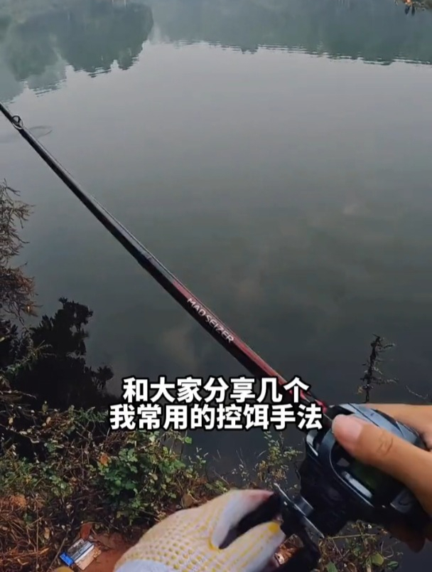 冬季路亚黑坑怎么钓鳜鱼?老钓友讲解这几个控饵手法!