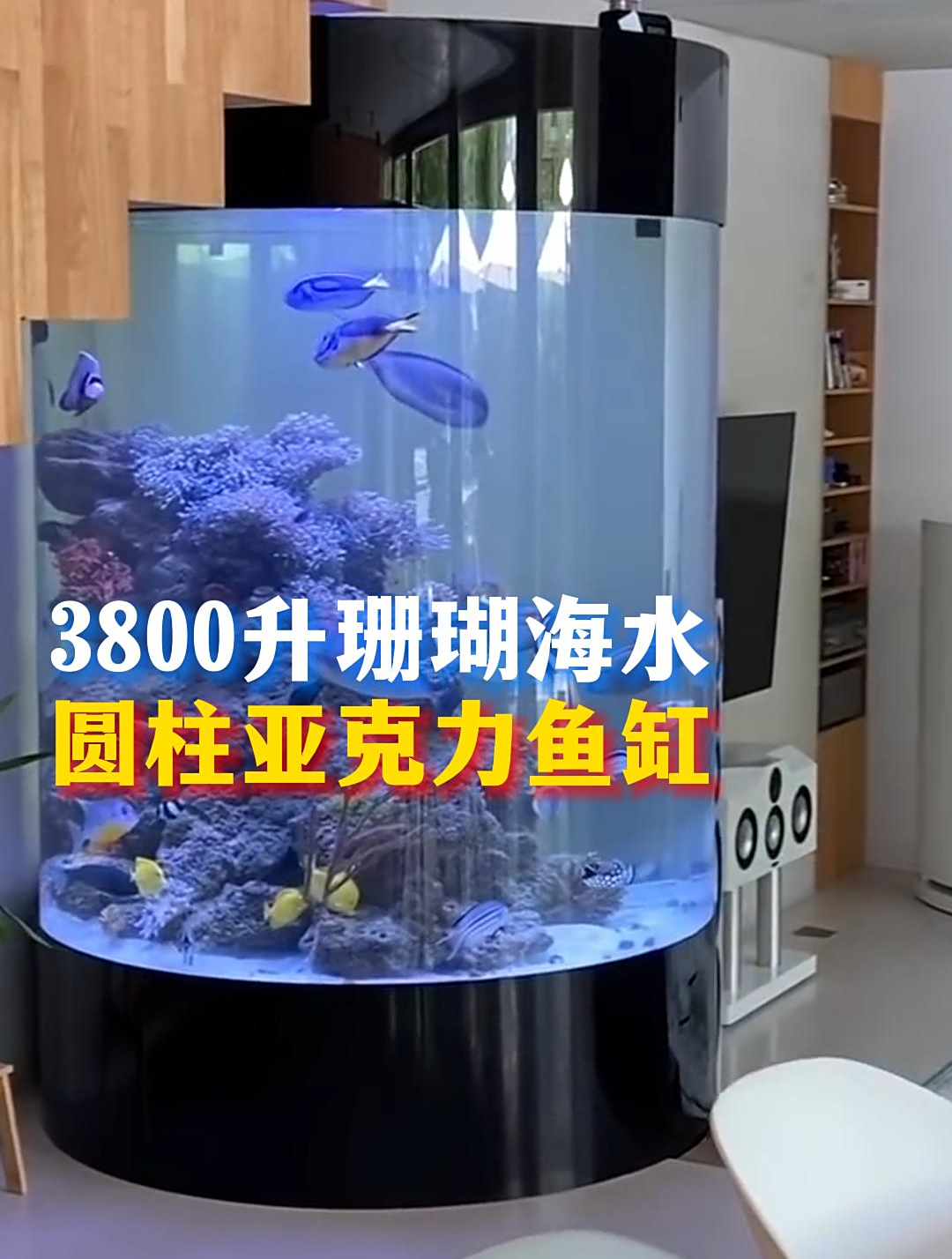 3800升别墅珊瑚海水圆柱亚克力鱼缸