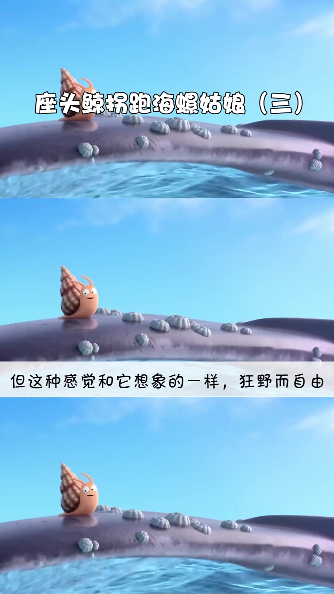 72. 海螺与鲸鱼(3_7)动漫