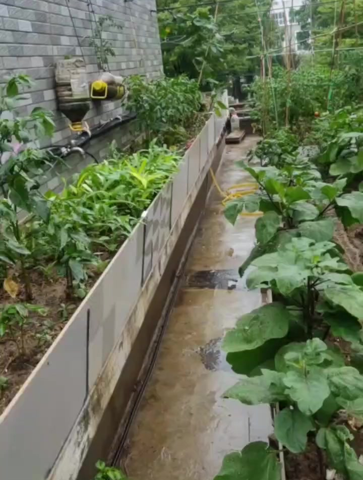 每天分享阳台种菜技巧,瓷砖种菜箱如何排水,大家一直非常奇怪