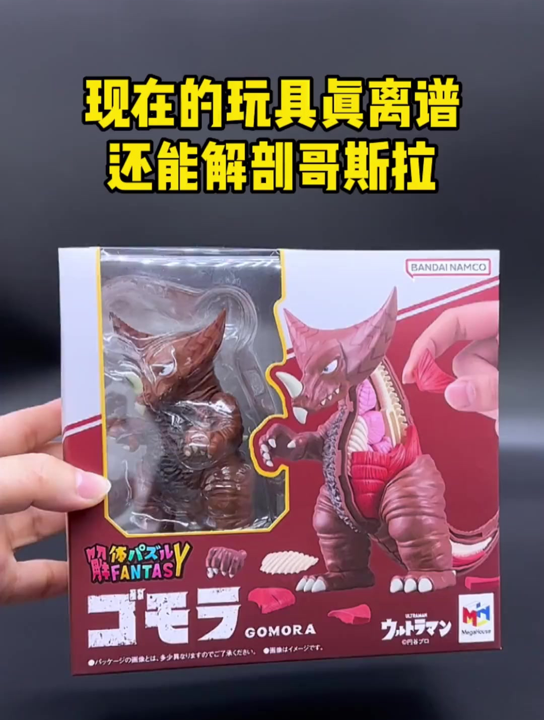 现在的玩具真离谱,都可以解剖小怪兽了