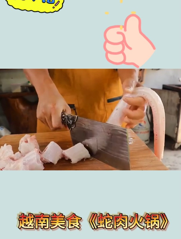 越南美食《蛇肉火锅》2